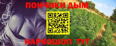 эйфоретик Новокубанск